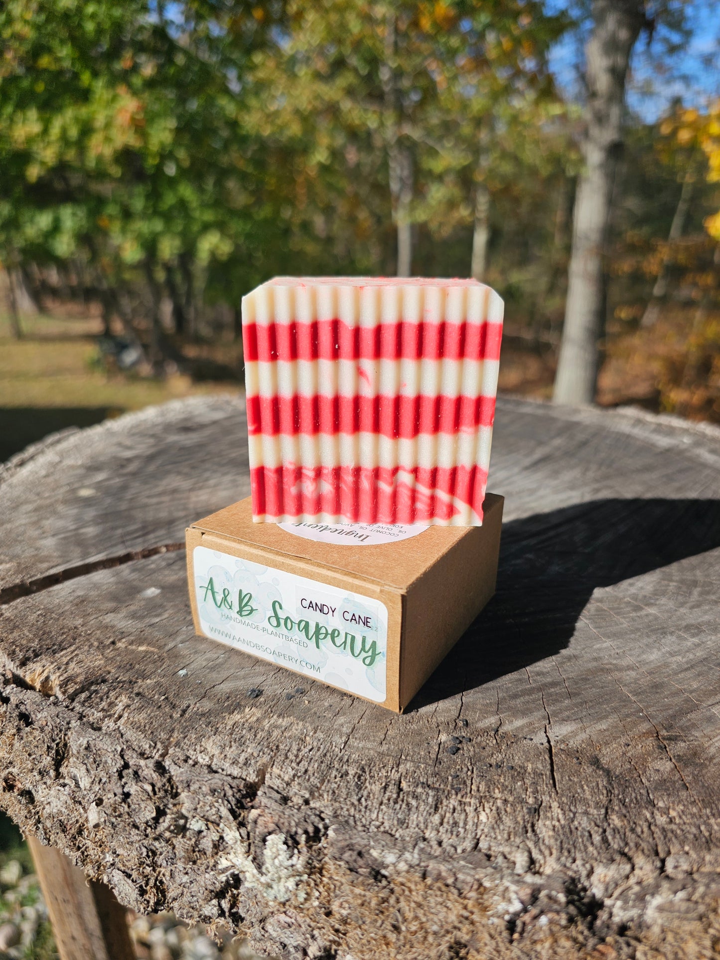 Candy Cane Kokum Butter Soap